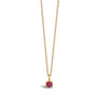 HEXA RUBY PENDANT – BURMA ORIGIN